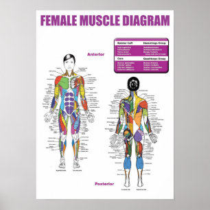 Workout Motivational Poster