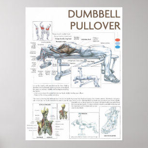 Workout Motivational Poster