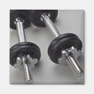 Workout weights magnet