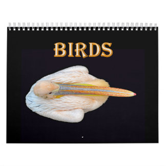 world birds calendar