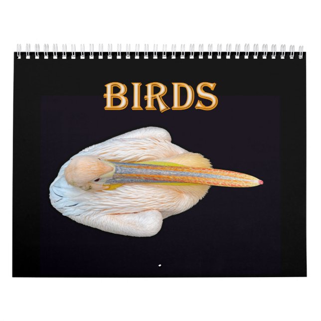 world birds calendar (Cover)