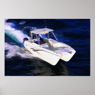 World Cat 270SD Poster