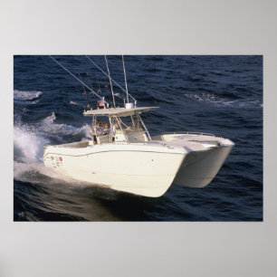 World Cat 330TE Poster