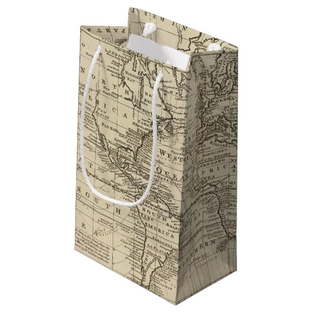 World Chart Small Gift Bag (Back Angled)