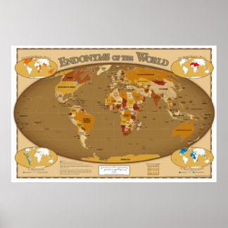 World Countries in their Local Language (Endonyms) Poster