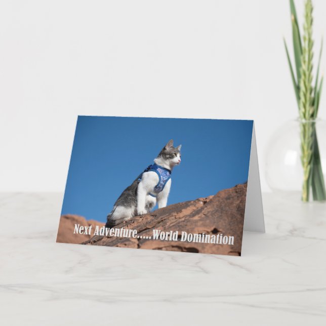 World Domination cat notecard (Front)
