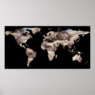 World Map Silhouette - Sheep Herd Poster