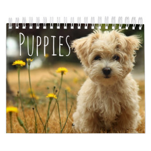 World’s Most Beautiful  Puppies Calendar