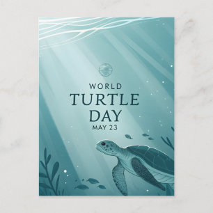 World Turtle Day Underwater Sea Turtle Art Holiday Postcard