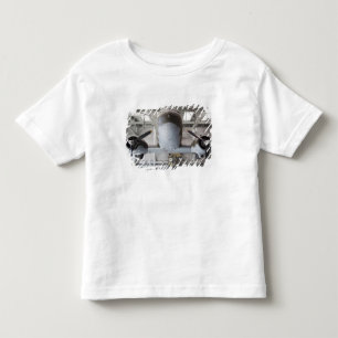 World War Two C-47 Dakota transport aircraft, Toddler T-Shirt