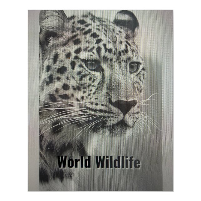 WORLD WILDLIFE POSTER (Front)