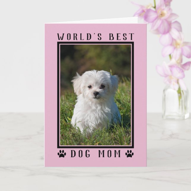 World's Best Dog Mum Pink Mother's Day Photo Card (Orchid)
