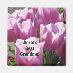 World's Best Grandma! gifts buttons Purple Tulips Magnet
