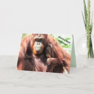 World's Best Mum - Orangutan Mother's Day Card