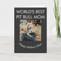 World's best Pit Bull mum
