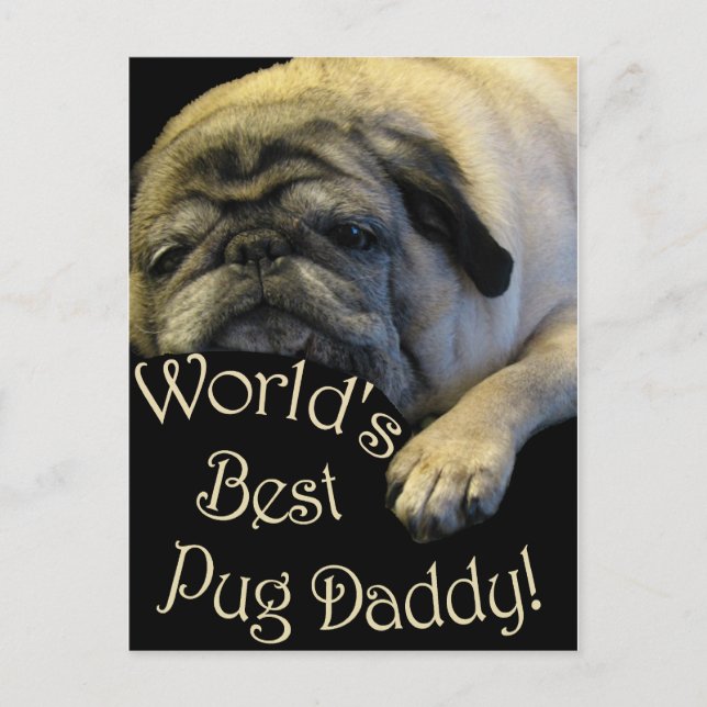 World's Best Pug Daddy Postcard (Front)