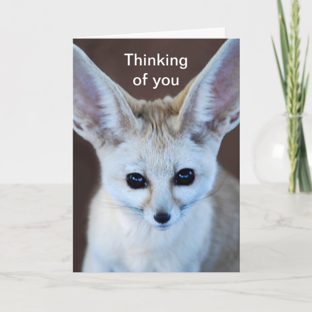 Worlds Cutest Fennec Fox Card (Front)