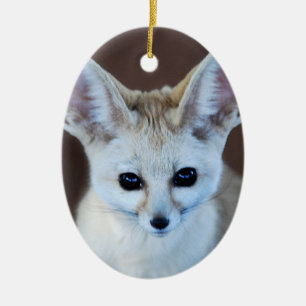 Worlds Cutest Fennec Fox Ceramic Tree Decoration