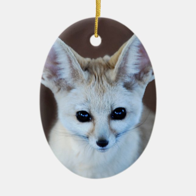 Worlds Cutest Fennec Fox Ceramic Tree Decoration (Front)