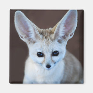 Worlds Cutest Fennec Fox Magnet