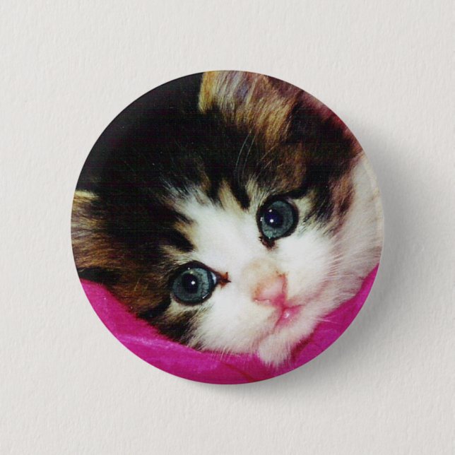 Worlds Cutest Kitten 6 Cm Round Badge (Front)