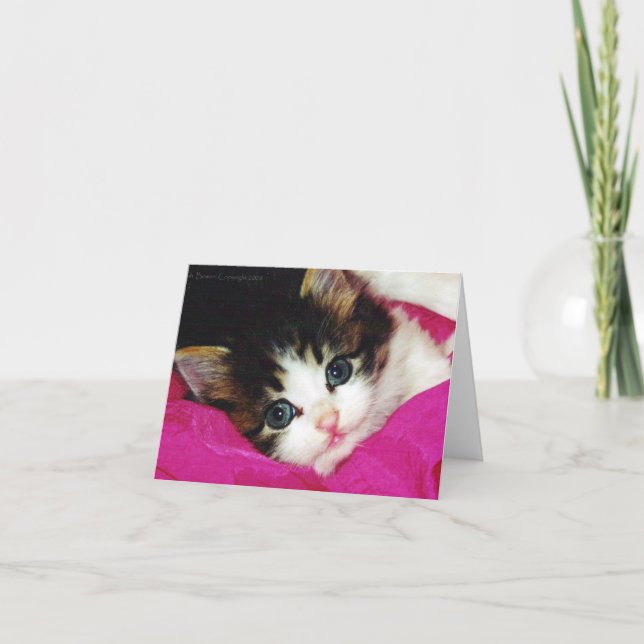 Worlds Cutest Kitten Card (Front)