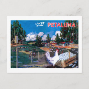 World's Egg Basket Poster Postcard