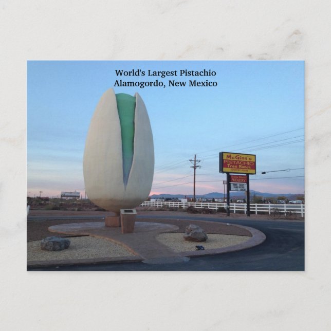 World's Largest Pistachio Postcard (Front)