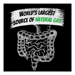 World's Largest Source Of Natural Gas Farting Poster