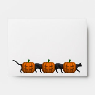 World's Longest Cat Envelopes