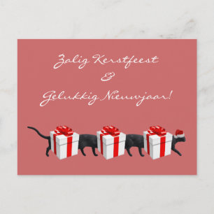 World's Longest Cat Postcard