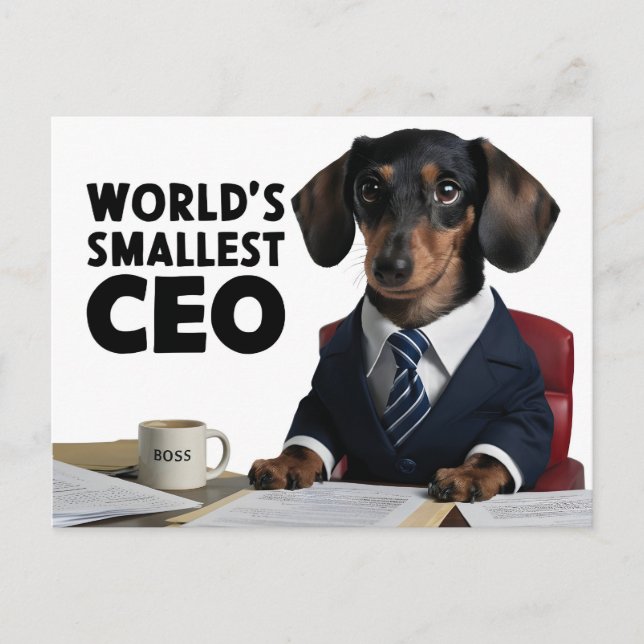 World's smallest CEO, cute funny dachshund in suit Postcard (Front)