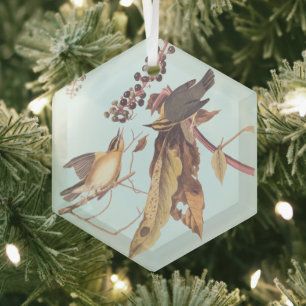 Worm-Eating Warbler Audubon songbird Glass Tree Decoration