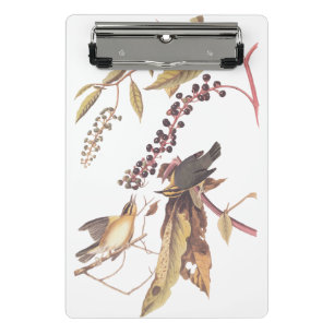 Worm-Eating Warbler Audubon songbird Mini Clipboard