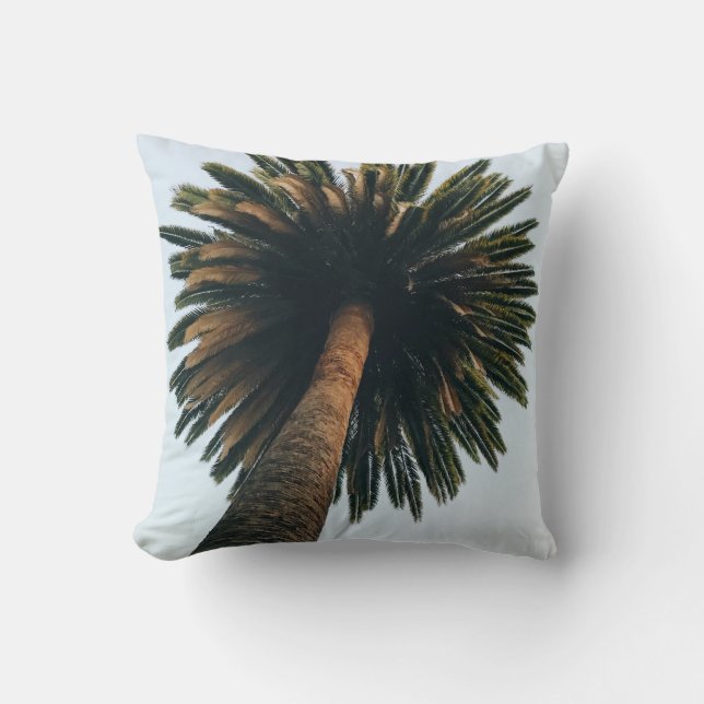Worm eye photography of palm tree cushion (Front)