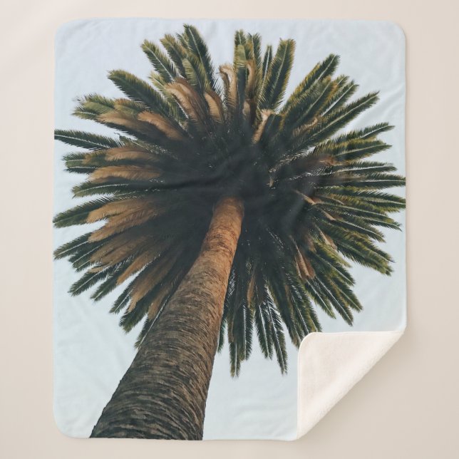 Worm eye photography of palm tree sherpa blanket (Front)