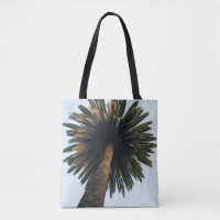 Worm eye photography of palm tree