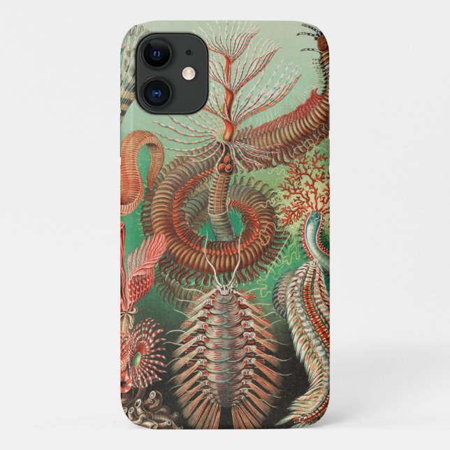Worms, Annelids Chaetopoda by Ernst Haeckel Case-Mate iPhone Case (Back)