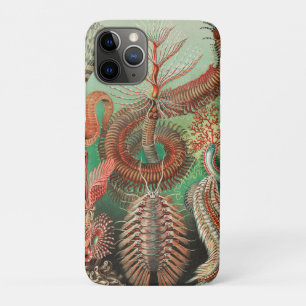 Worms, Annelids Chaetopoda by Ernst Haeckel Case-Mate iPhone Case