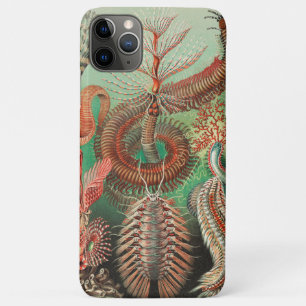 Worms, Annelids Chaetopoda by Ernst Haeckel Case-Mate iPhone Case
