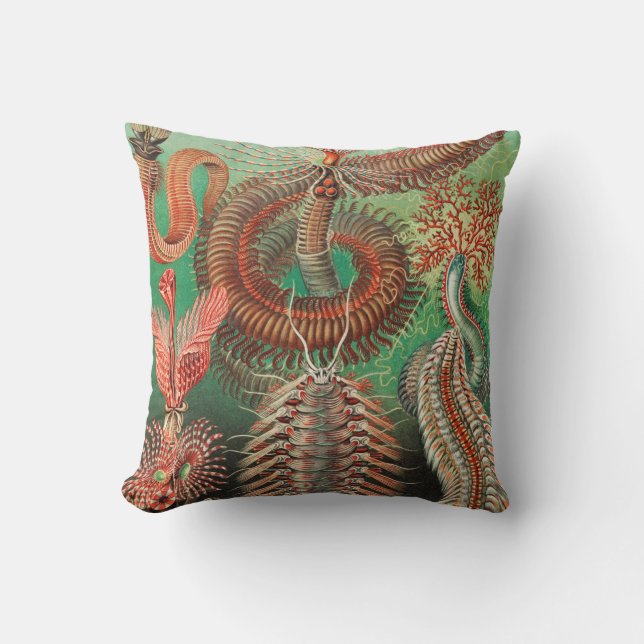 Worms, Annelids Chaetopoda by Ernst Haeckel Cushion (Front)