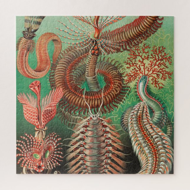 Worms, Annelids Chaetopoda by Ernst Haeckel Jigsaw Puzzle (Vertical)