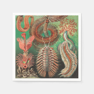 Worms, Annelids Chaetopoda by Ernst Haeckel Napkin