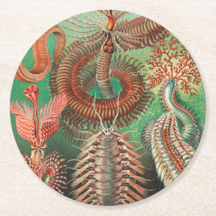 Worms, Annelids Chaetopoda by Ernst Haeckel Round Paper Coaster
