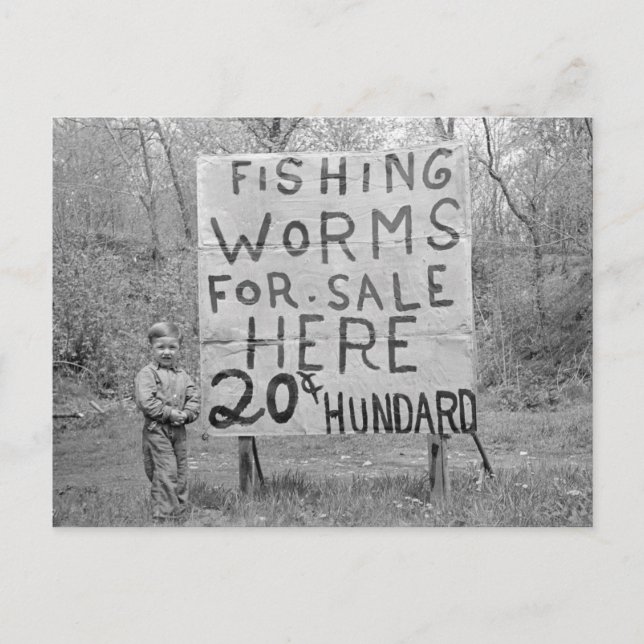 Worms For Sale, 1935 Postcard (Front)