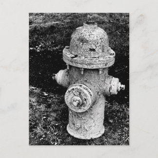 Worn Chipped Rusty Old Fire Hydrant Photo Postcard
