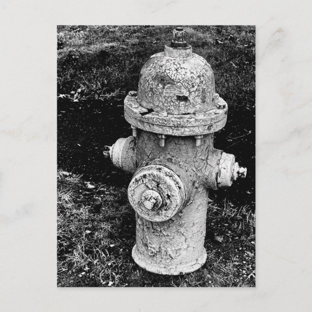 Worn Chipped Rusty Old Fire Hydrant Photo Postcard (Front)