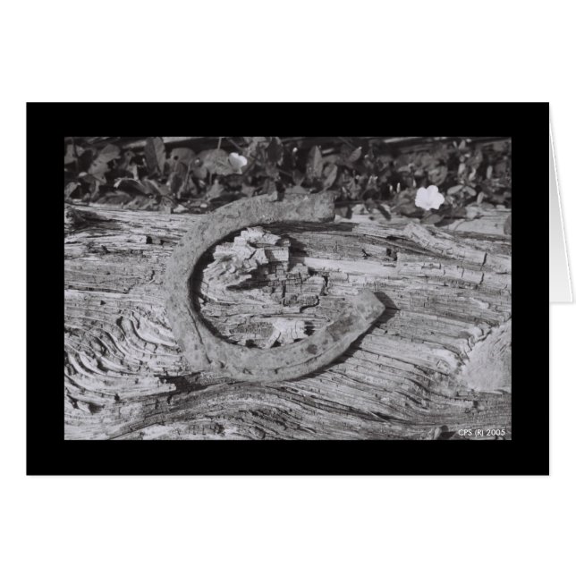 Worn Out Luck (Front Horizontal)