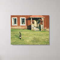 Worn red house with a cat on the lawn.