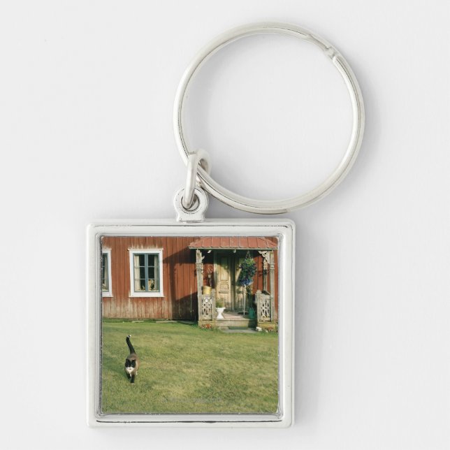 Worn red house with a cat on the lawn. key ring (Front)